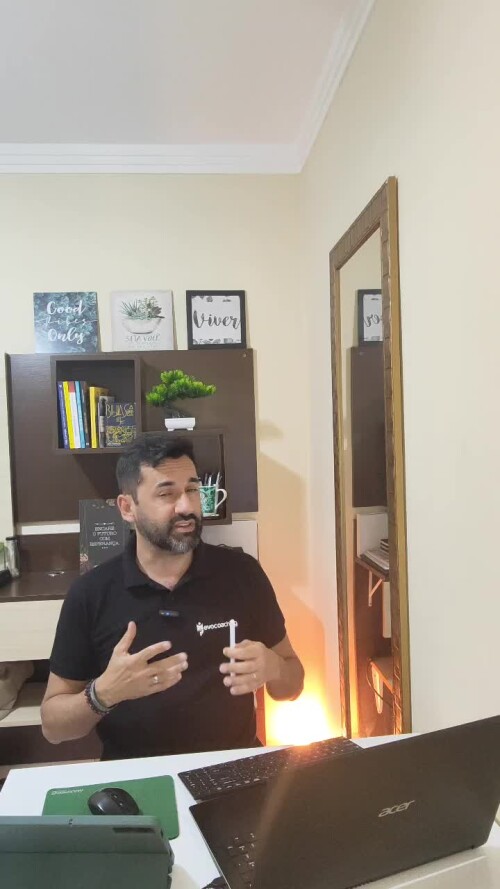 Perfil comportamental influente águia